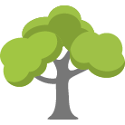 Fort Walton Beach Tree Trimming