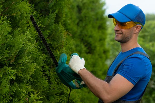 Tree Shaping Service in Fort Walton Beach